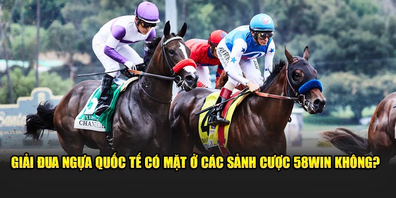 Giải đua ngựa quốc tế có mặt ở các sảnh cược 58Win không?