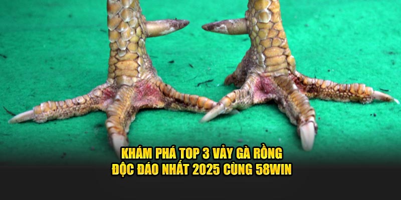 Khám Phá Top 3 Vảy Gà Rồng Độc Đáo Nhất 2025 Cùng 58Win