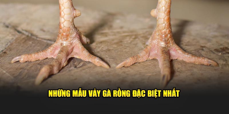 Những mẫu vảy gà rồng đặc biệt nhất